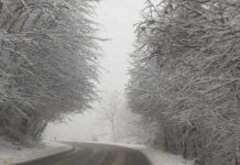 Студен бран од север ја заледува земјава: Снег и силен ветер