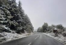 Вечерва е воведена забрана за сообраќај за тешки товарни возила на патниот правец Струга – ГП Ќафасан