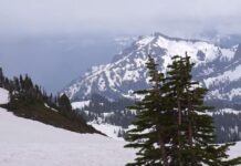 Екстремна зимска бура ќе го погоди речиси цел континент!