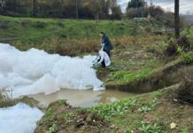 Со пената од каналот кај Таор, испливаа жива, сребро и фекални бактерии!