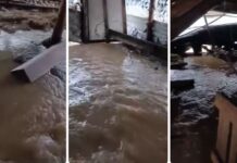 Удавени 120 јагниња и 100 овци во надојдената река Тркања во струмичко/ВИДЕО