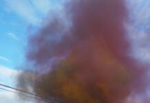 Злото е истерано: Василичарско оро и палење на маските го одбележаа крајот на Вевчанскиот карневал/ФОТО