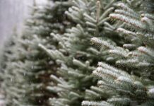 Зимата стега! Екстремно студен бран со температури до минус 20 степени Целзиусови