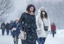 Колапс на поларниот вртлог во февруари: Арктички воздух ќе „ја замрзне“ Европа