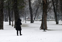 Арктички студ го замрзна Балканот и донесе снег дури до грчките острови