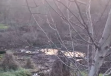 Дива депонија ја затнала канализацијата на „Скупи 20“