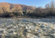 „Екосвест“ бара нов, итен закон за природата