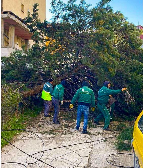 2 - kuso padnati drvja