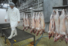 Трговците го касапат сточарството – кило јагнешко 1.200 денари, а овчарите добиваат едвај 300 денари