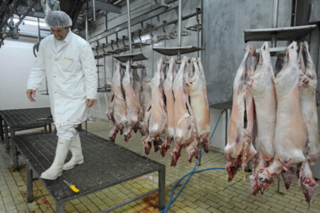 Трговците го касапат сточарството – кило јагнешко 1.200 денари, а овчарите добиваат едвај 300 денари