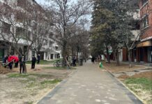 Хортикултурно се уредува делот меѓу станбените згради, паралелно со булеварот „Видое Смилевски-Бато“