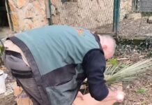 Вработените им помагаат на животните да останат активни, љубопитни и ментално стимулирани