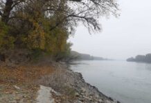 Хорор во Дунав: Во реката се појави браник – откриена мистеријата од пред една деценија!