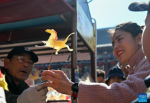 Годината на Коњот носи порака за издржливост, солидарност и вредност: Споделена радост за Пролетниот фестивал во Кина