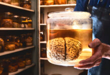 Формирана работна група, ќе се чешла “извозот на мозоци“од 90-те