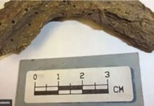 Пронајден човечки измет стар 1.300 години: Може да промени многу работи