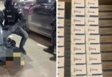 Дрога во гаража од под до плафон! Српската полиција заплени 500.000 таблети што содржат психоактивни супстанции/ВИДЕО