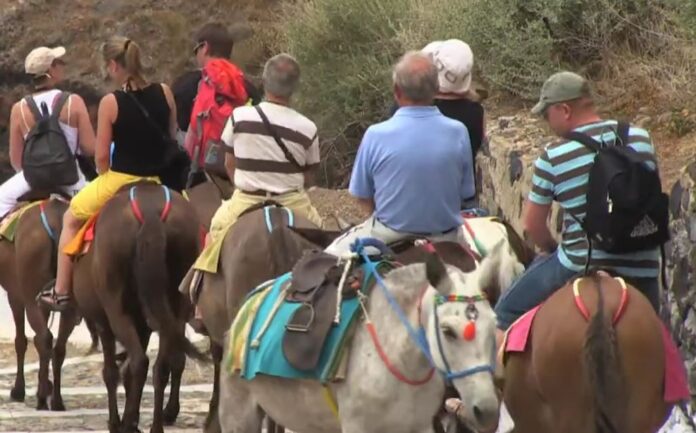 magarinja tur santorini video