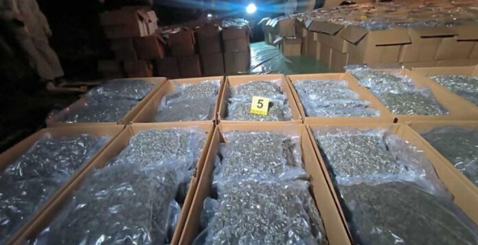 marihuana mup srbija video