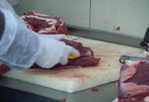 Контаминирано месо од Бразил завршило во месарници низ Европа? Пронајдени траги од еден хормон