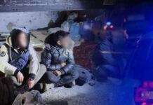 Уапсен турски државјанин, криумчар на мигранти: Во возило превезувал шест лица од Египет и Алжир