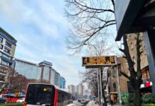 Првата тура електрични автобуси летово, БРТ в година!