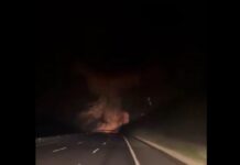 Се урна турски ловец Ф-16, загина пилотот/ВИДЕО