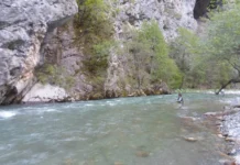 Почна сезоната на спортски риболов по Радика и Мавровското езеро