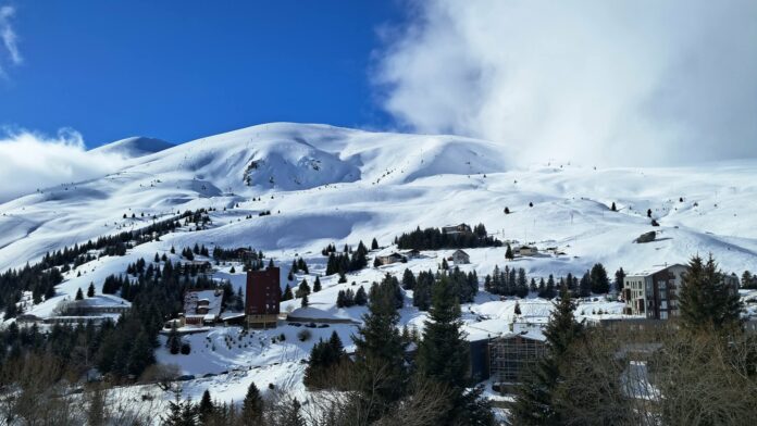 popova-sapka-moja-fev26-696x392