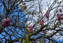 Температурна клацкалка: Денеска од минусни утрински, до максимални 16 степени