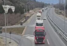 Работна група бара преодно решение за подолг престој на возачите во Шенген зоната