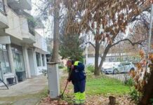 Природно ѓубриво од лисјата и другиот отпад ќе се создава во биокомпостарите