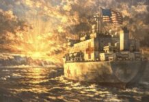 Трамп објави дека болнички брод „е на пат кон Гренланд“ – Данците се шокирани, велат дека немаат такви сознанија, нема потреба од тоа