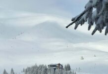 Снег го завеа регионот, 50.000 луѓе веќе се без струја: Нова бела покривка во Македонија