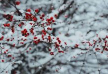 Нов бран врнежи со грмежи – од среда кратко „ќе воздивнеме“ од дождот