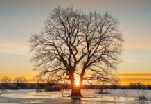 Засилен „северец“, а сонцето ќе „каса“: Наскоро стабилизација на времето