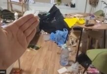 Покажа што и направиле подстанарите за 12 дена и тоа со солзи во очите