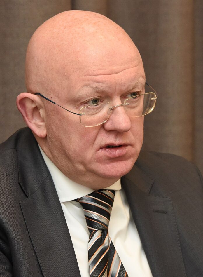 Vasily_Nebenzya_(2020-02-03)