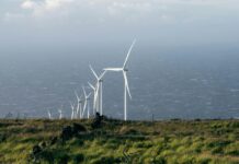 Какви ветришта го дуваат ветропаркот кај Штип?