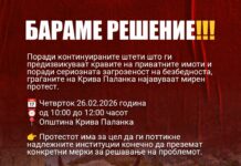Мирен протест во Крива Паланка поради штетите од неконтролираните говеда