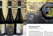 Во Италија промовирано ново вино „Пред дождот“, инспирирано од филмот на Манчевски