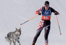 Хрватска олимпијка беше бркана од „волк“ додека се натпреваруваше во крос-кантри (ВИДЕО)