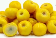 Златна тропска овошка ги штити органите од глава до пети: Го одржува телото младо, а ретко кој чул за неа