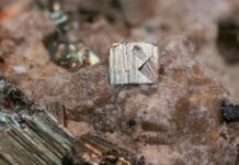 Откриено од најголемите наоѓалишта во светот? Тврдат дека пронашле повеќе од 30.000 тони злато