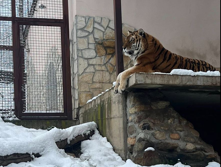 zooloska gradina bitola