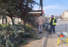 Уредување и разубавување на јавните површини во Ѓорче Петров