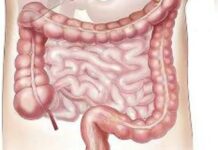 Говорот на нефункционалните црева: Сигнали кои покажуваат дека здравјето им е нарушено