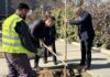 Садење дрвја во центарот на Ѓорче Петров и ново зеленило по должината на реката Лепенец