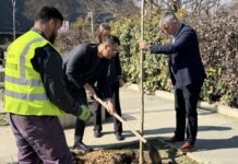 Садење дрвја во центарот на Ѓорче Петров и ново зеленило по должината на реката Лепенец