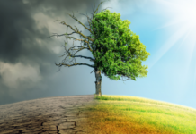 Планетата на раб на нов климатски удар: Ел Нињо се враќа во 2026, се заканува со екстремни временски шокови – топлотни бранови, суши, невремиња…